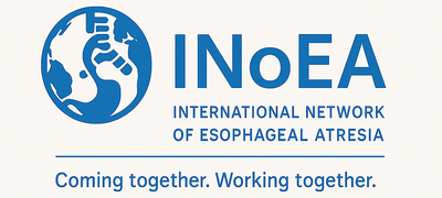 INoEA_logo.png